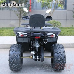 Квадроцикл MOTOLAND 200 WILD TRACK X PRO