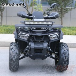 Квадроцикл MOTOLAND 200 WILD TRACK X PRO