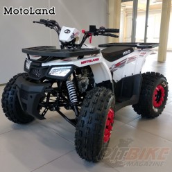 Квадроцикл MOTOLAND ATV 125 WILD